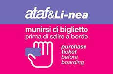 Florence Travel Guide